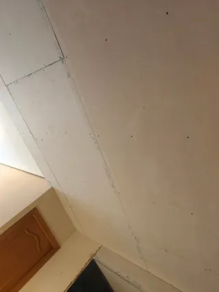 reformas  alicatados y solados