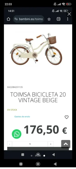 Bicicleta Toimsa Vintage