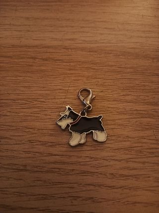 Charm Perro Schnauzer Negro y Blanco