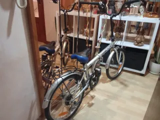 Bicicleta plegable 20
