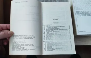 Los Miserables en 2 libros