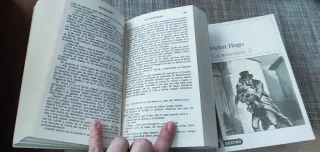 Los Miserables en 2 libros
