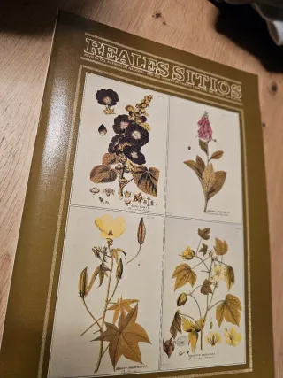 Revista Reales sitios