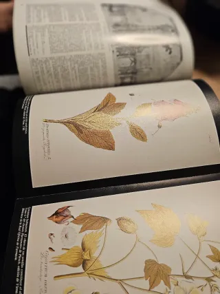 Revista Reales sitios