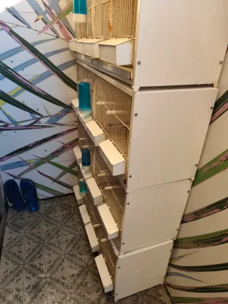 Batería de cinco jaulas de 90