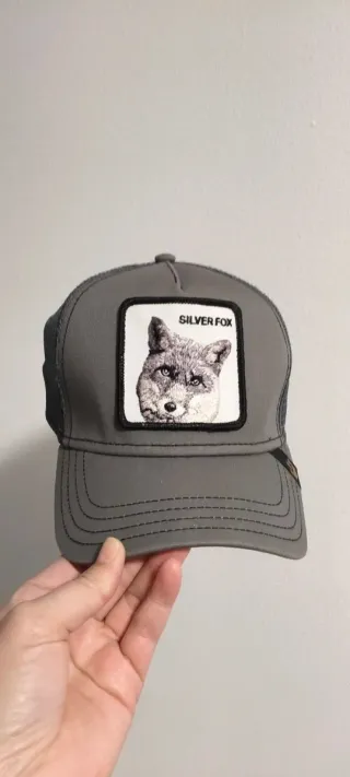 Gorra Goorin Bros Zorro Plateado