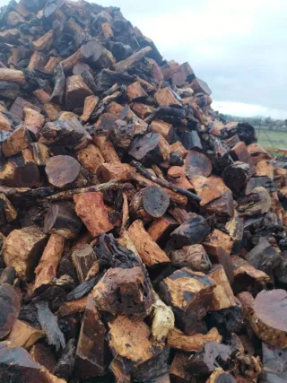 Leña de alcornoque gorda