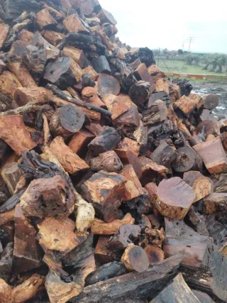 Leña de alcornoque gorda