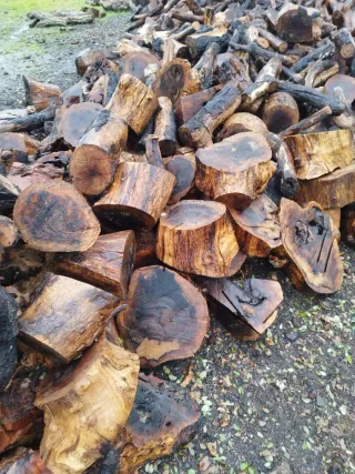 Leña de alcornoque gorda
