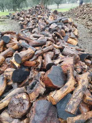 Leña de alcornoque gorda