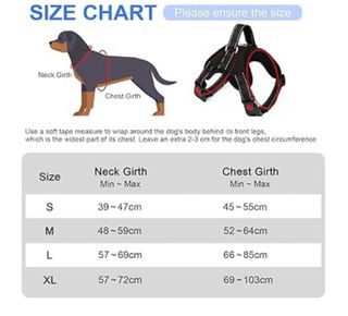 Arnés Perro + Cinturón Seguridad Coche 2 en 1