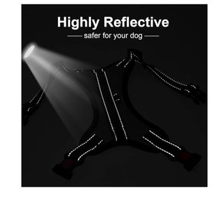 Arnés Perro + Cinturón Seguridad Coche 2 en 1