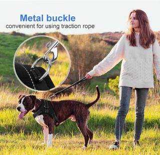 Arnés Perro + Cinturón Seguridad Coche 2 en 1