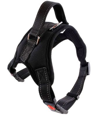 Arnés Perro + Cinturón Seguridad Coche 2 en 1