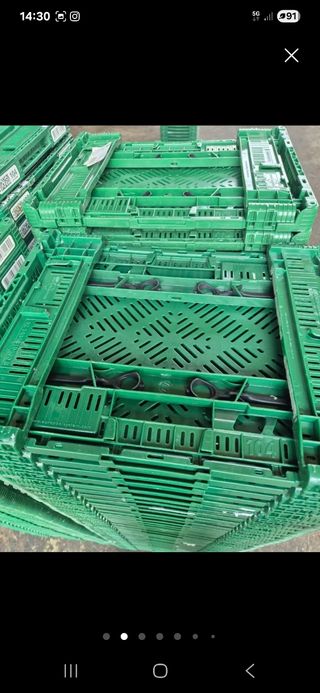 50 Cajas apilables y abatibles tipo IFCO