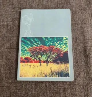 Set quaderni vintage