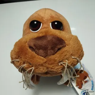 Peluche Tricheco Ocean Buddies