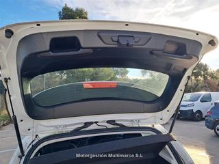 FORD FOCUS 1.5 Ecoblue 70kW Trend+