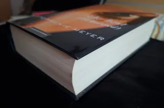 The host (la huésped)