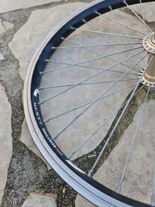 Rueda Delantera Biketrial Monty 20"