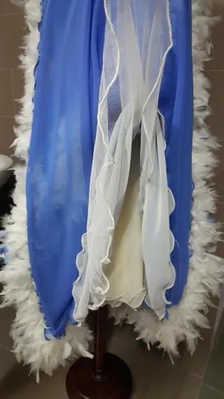 Vestido Vals y Tango Azul con Plumas