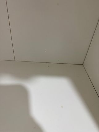 Mueble de Almacenamiento IKEA BAGGEBO Blanco