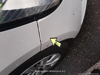 RENAULT CLIO Business Blue dCi 63 kW (85CV)