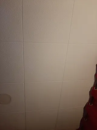 Habitación alquiler