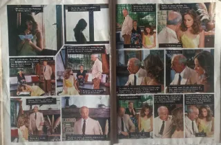 ​Lote 8 Fotonovelas Vintage (Años 70/80) - Ornela,