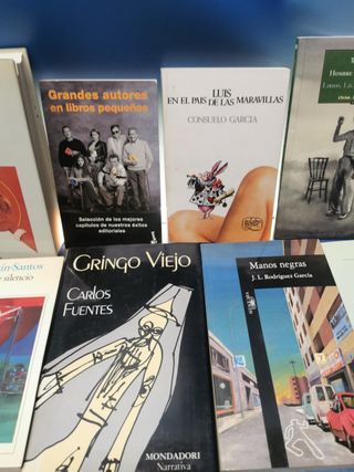 12 LIBROS, LITERATURA HISPANICA - Carlos fuentes, Benjamin Prado, Terenci Moix, f.aramburu y mas
