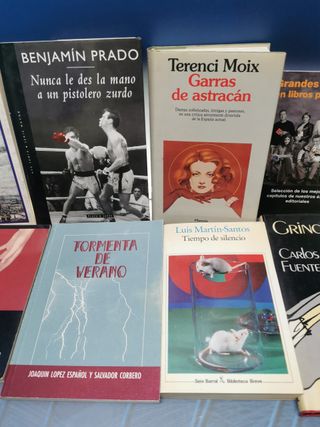 12 LIBROS, LITERATURA HISPANICA - Carlos fuentes, Benjamin Prado, Terenci Moix, f.aramburu y mas