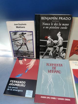 12 LIBROS, LITERATURA HISPANICA - Carlos fuentes, Benjamin Prado, Terenci Moix, f.aramburu y mas