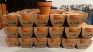 Maceta con Semillas de Albahaca, Menta y Eneldo