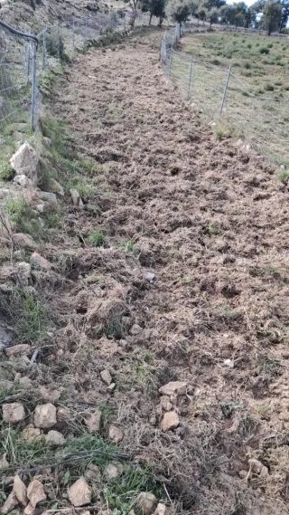 Huerto para compartir