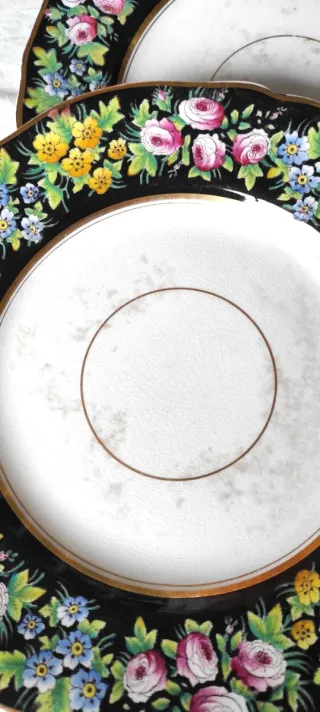 2 Piatti Ridgway Floreali 1840