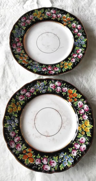 2 Piatti Ridgway Floreali 1840