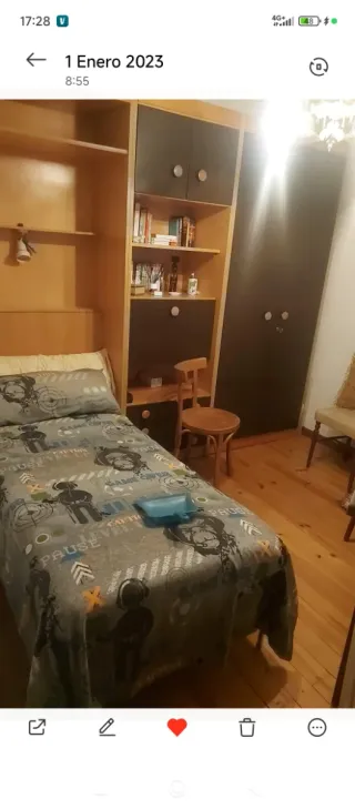 Armario con cama abatible