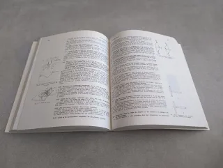 CUESTIONES DE FÍSICA. POR QUÉ? J. AGUILAR Y F. SEN