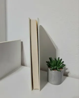 Lo peor de cada casa