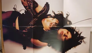 Lady Gaga Mayhem Liquid Vinyl