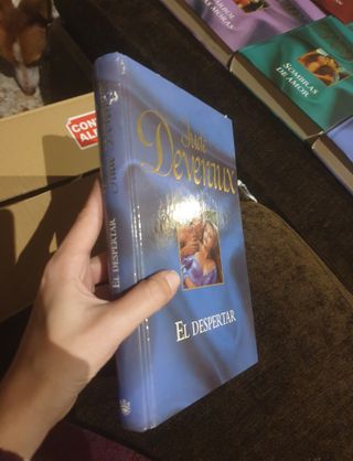 Novela romantica jude deveraux