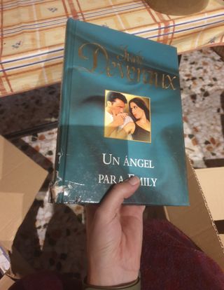 Novela romantica jude deveraux