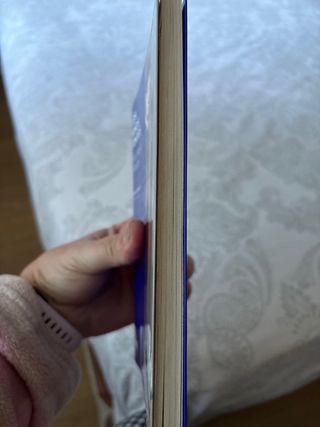 Los niños tontos: Edición a cargo de Dolors Mad...