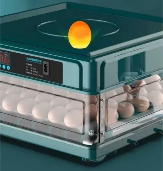 Incubadora/Chocadeira 48 Ovos Nova