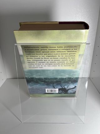 El ultimo deseo y la espada del destino