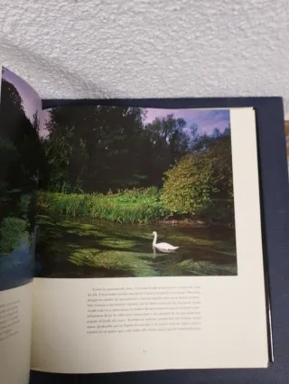 Aguas Lejanas Los Mejores Lugares Del Mundo par...