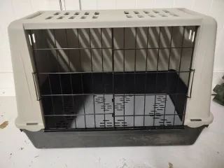 Transportín para perro