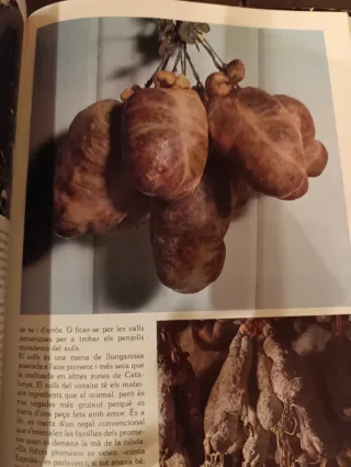 L'art del menjar a Catalunya