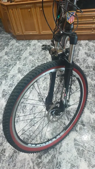 Bicicleta de montaña ALTEAM