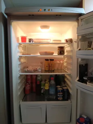 Frigorífico Combi Bluesky